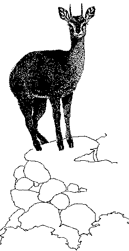 Microlivestock Little Known Small Animals With A Promising Economic Future Lucene Demo Greenstone3 Showcase Microlivestock Little Known Small Animals With A Promising Economic Future Lucene Demo Greenstone3 Showcase