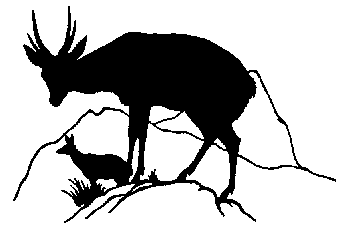 Microlivestock - Little-Known Small Animals with a Promising ...