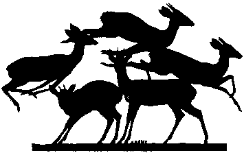 Microlivestock - Little-Known Small Animals with a Promising ...