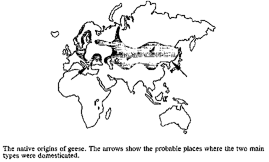 Microlivestock - Little-Known Small Animals with a Promising