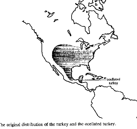 Turkey The Sariçiçek howardite fall in Turkey: Source crater of HED